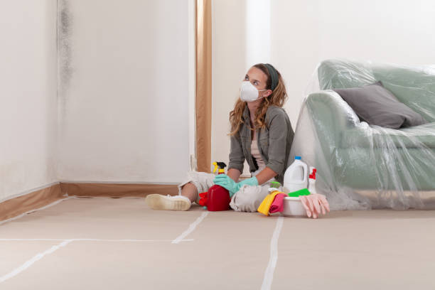 Reliable Black Mold Removal contractor in Ottsville, PA by WQB Mold Removal